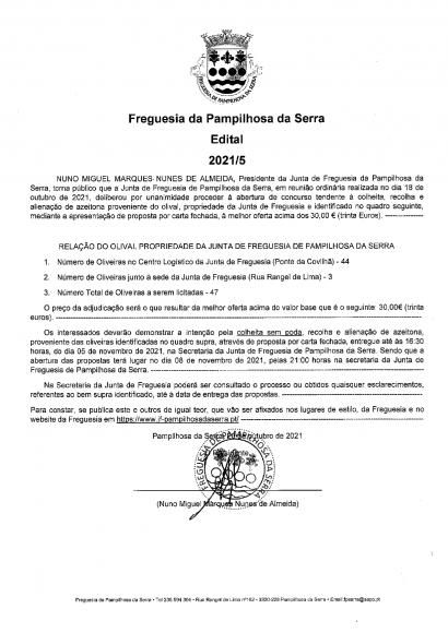 concurso tendente à colheita, recolha e alienação de azeitona