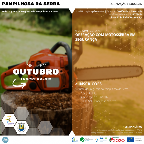Formação de Operação com motosserra em segurança