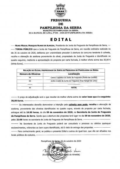 Colheita de azeitona