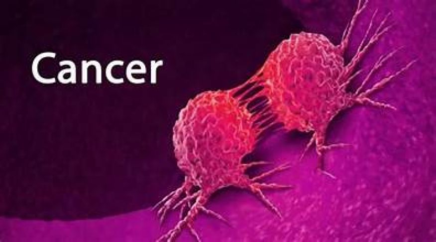 Cancro: Prevenção, apoio ao doente e família