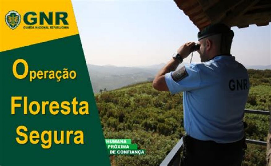 Operação Floresta Segura