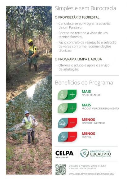 Candidatura aberta ao Projeto Melhor Eucalipto